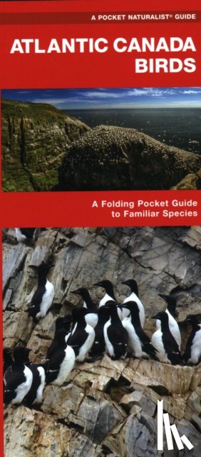 Kavanagh, James, Waterford Press, Waterford Press - Atlantic Canada Birds