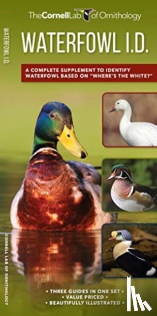 McGowan, Kevin J - Waterfowl ID Set