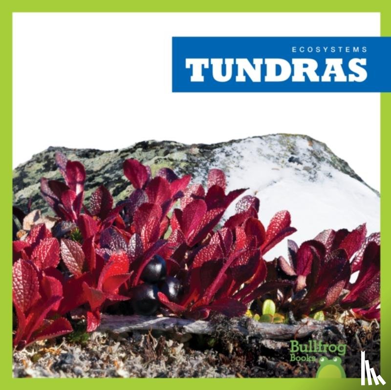 Higgins, Nadia - Tundras