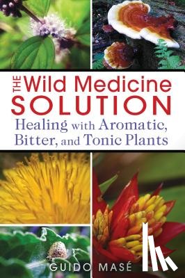 Mase, Guido - The Wild Medicine Solution