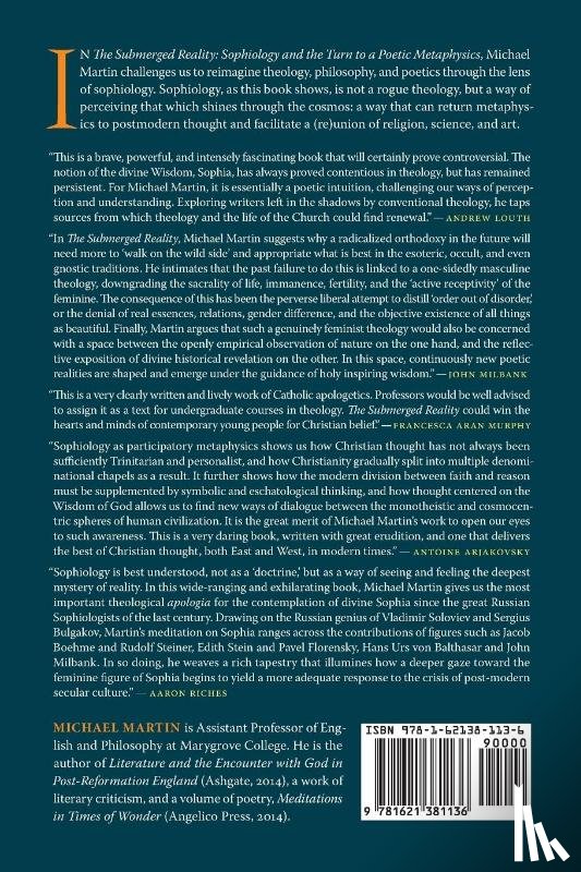 Martin, Michael (The Mike Martin Consultancy) - The Submerged Reality