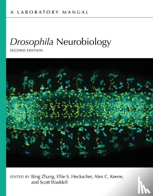 Zhang, Bing, Heckscher, Ellie S, Keene, Alex C - Drosophila Neurobiology