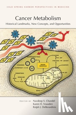 DeBerardinis, Ralph J J, Vousden, Karen H, Chandel, Navdeep S - Cancer Metabolism