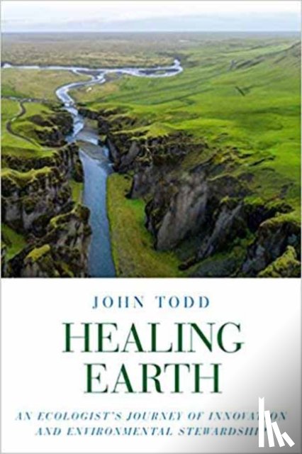 Todd, John - Healing Earth