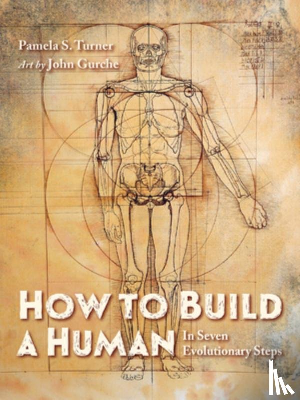 Turner, Pamela S., Gurche, John - How to Build a Human