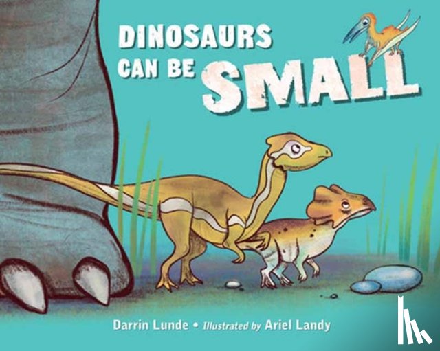 Lunde, Darrin, Landy, Ariel - Dinosaurs Can Be Small