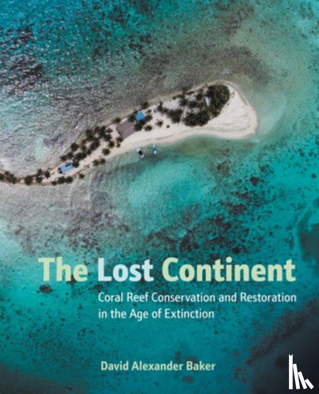 Baker, David - The Lost Continent