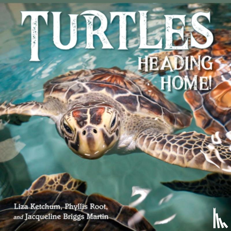 Ketchum, Liza, Martin, Jacqueline - Turtles Heading Home!