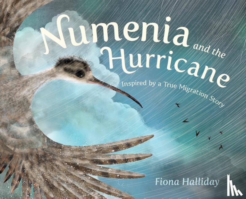 Halliday, Fiona - Numenia and the Hurricane