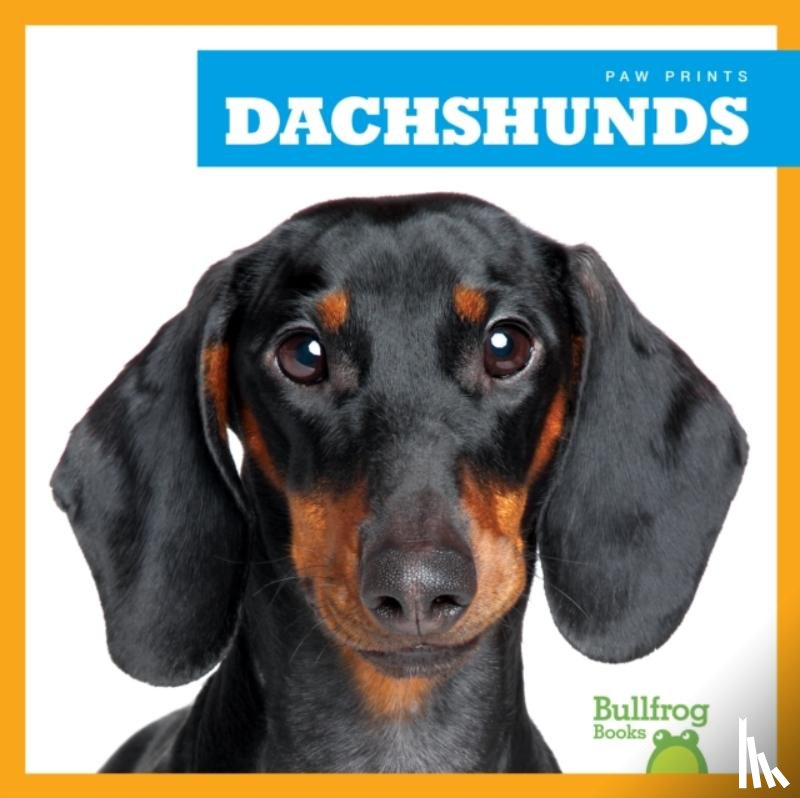 Duling, Kaitlyn - Dachshunds