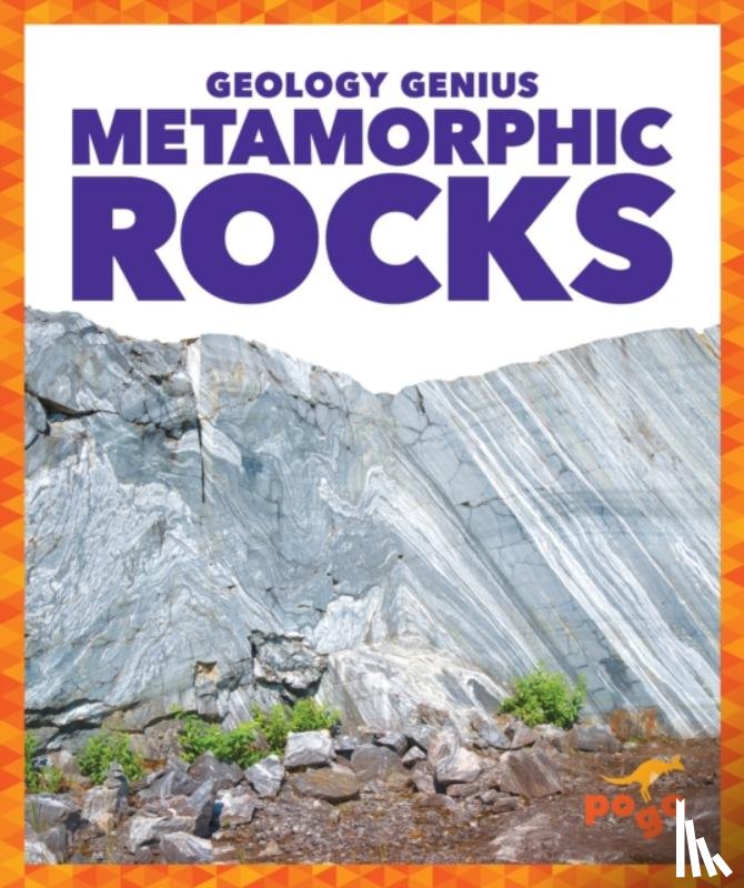 Pettiford, Rebecca - Metamorphic Rocks