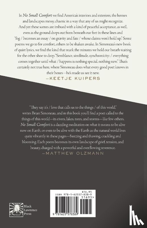 Simoneau, Brian - No Small Comfort