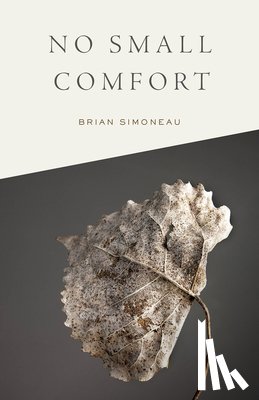 Simoneau, Brian - No Small Comfort