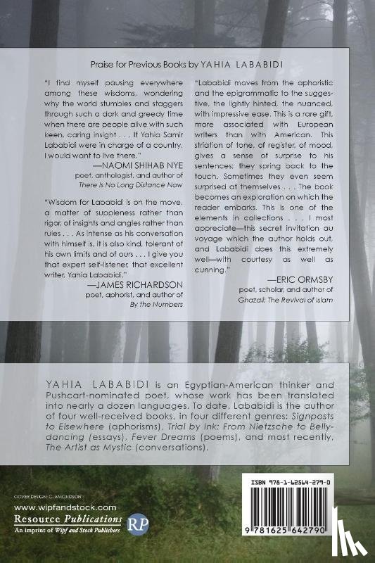 Lababidi, Yahia - Barely There