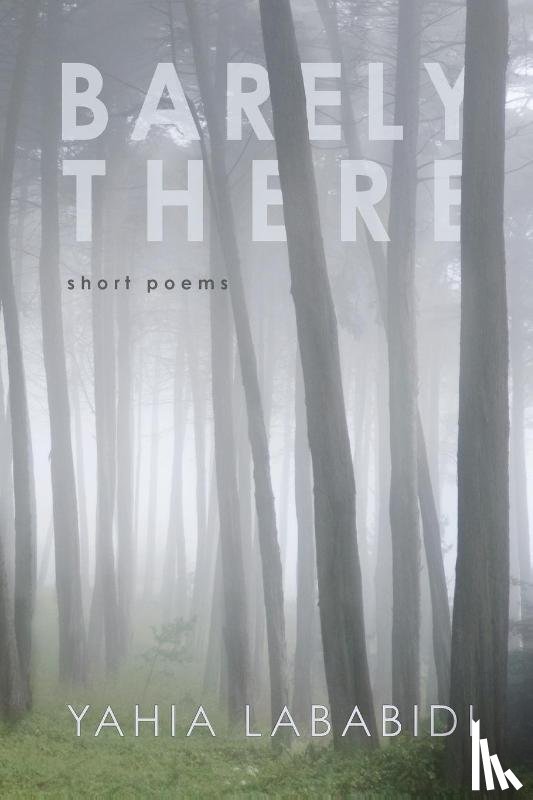 Lababidi, Yahia - Barely There