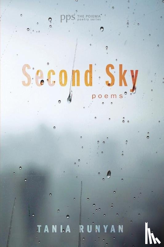 Runyan, Tania - Second Sky