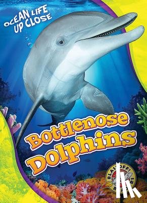 Schuetz, Kari - Bottlenose Dolphins
