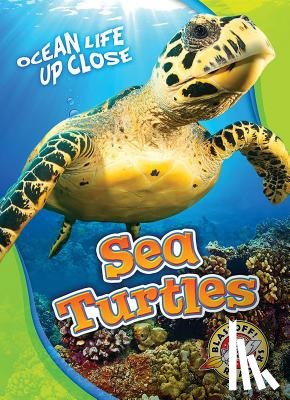 Schuetz, Kari - Sea Turtles