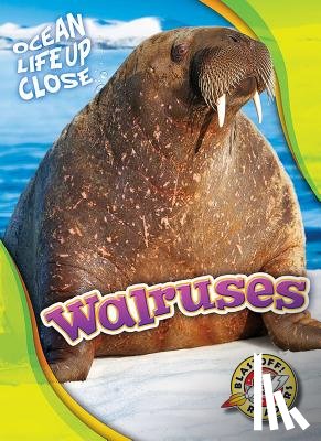 Schuetz, Kari - Walruses