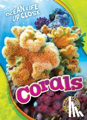 Schuh, Mari - Corals
