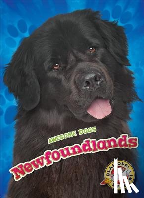 Sommer, Nathan - Newfoundlands
