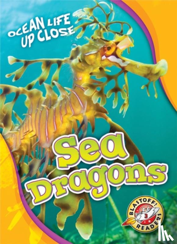Adamson, Heather - Sea Dragons