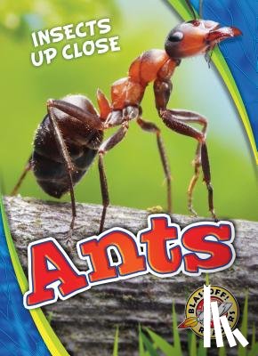 Perish, Patrick - Ants