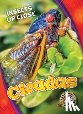 Leaf, Christina - Cicadas