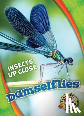 Leaf, Christina - Damselflies