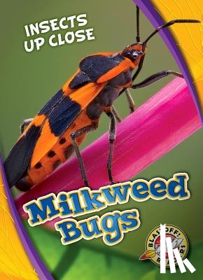Perish, Patrick - Milkweed Bugs