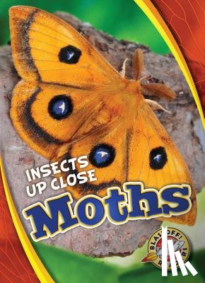 Perish, Patrick - Moths