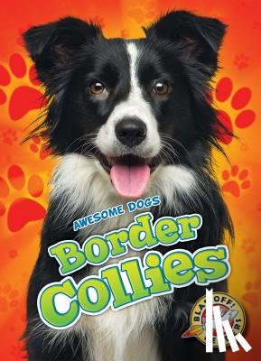 Sabelko, Rebecca - Border Collies