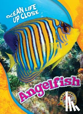 Sommer, Nathan - Angelfish