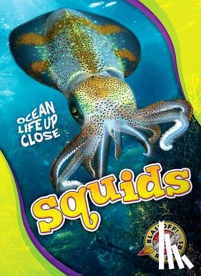 Sommer, Nathan - Squids