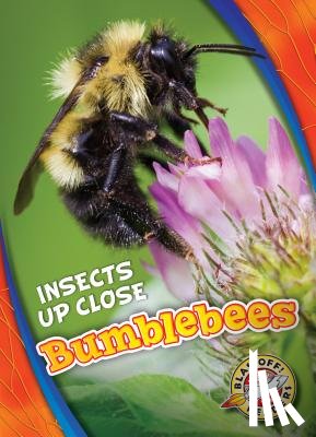 Perish, Patrick - Bumblebees