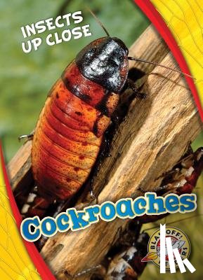 Perish, Patrick - Cockroaches