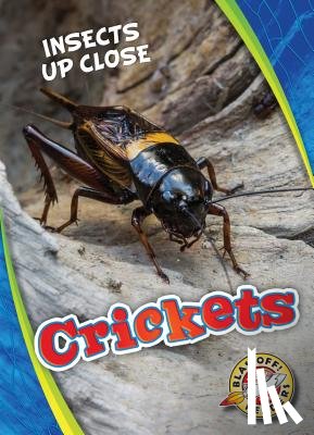 Perish, Patrick - Crickets