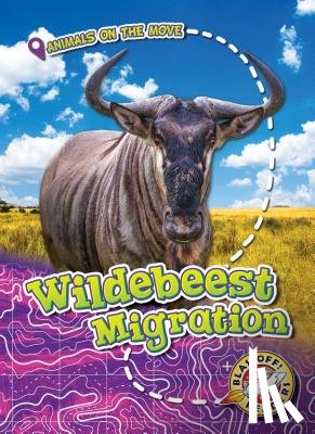 Schuetz, Kari - Wildebeest Migration