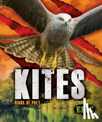 Sommer, Nathan - Kites