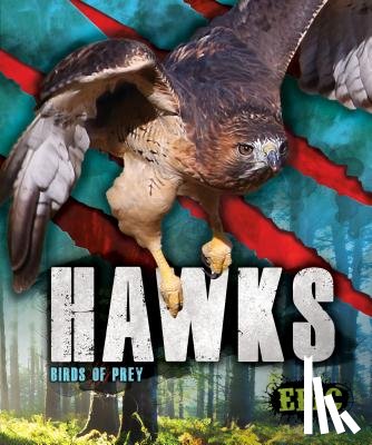 Sommer, Nathan - Hawks