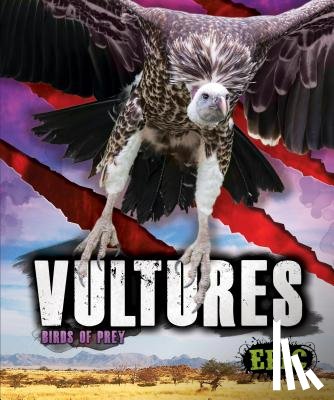 Sommer, Nathan - Vultures