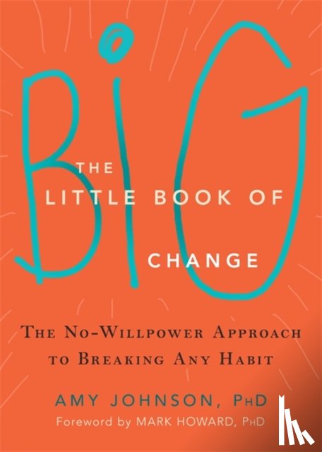 Johnson, Amy - The Little Book of Big Change