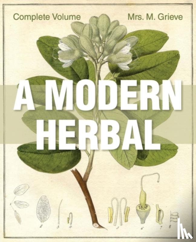 Grieve, Margaret - A Modern Herbal
