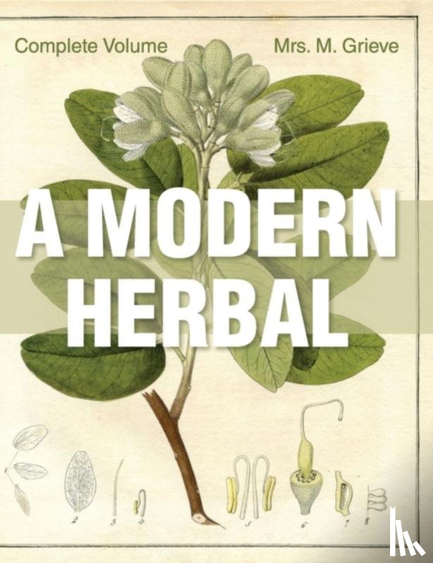 Grieve, Margaret - A Modern Herbal