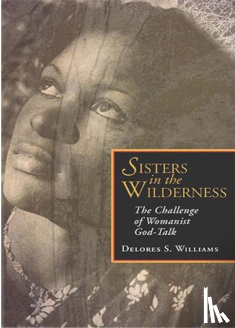 Delores S. Williams - Sisters in the Wilderness