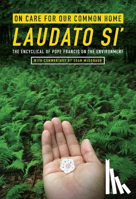 Pope Francis, Sean McDonagh - On Care for Our Common Home, Laudato Si'
