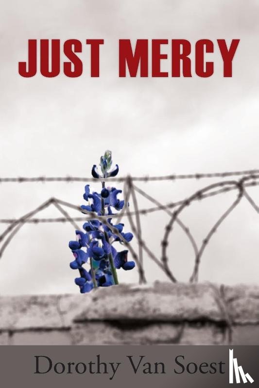 Van Soest, Dorothy - Just Mercy