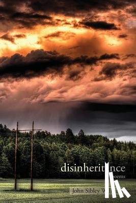 Williams, John Sibley - Disinheritance