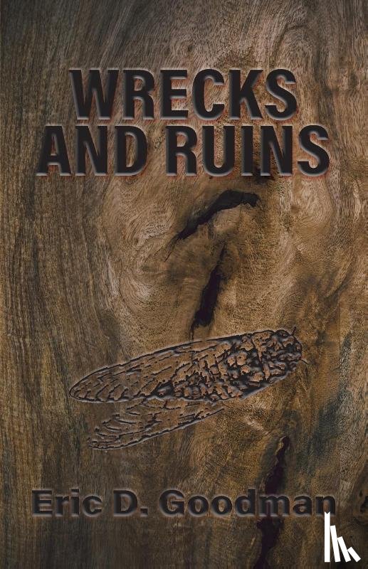 Goodman, Eric D - Wrecks and Ruins
