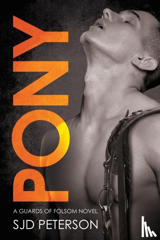 Peterson, SJD - Pony Volume 3